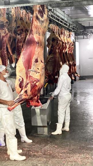 Empresa atua há 37 anos no setor, distribuindo carne bovina com procedência e qualidade para açougues e supermercados de todo o RS