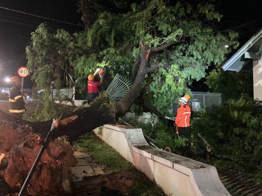 Na João Klauck, na altura do Centro, árvore caiu sobre a cerca de uma casa (Foto: Defesa Civil)