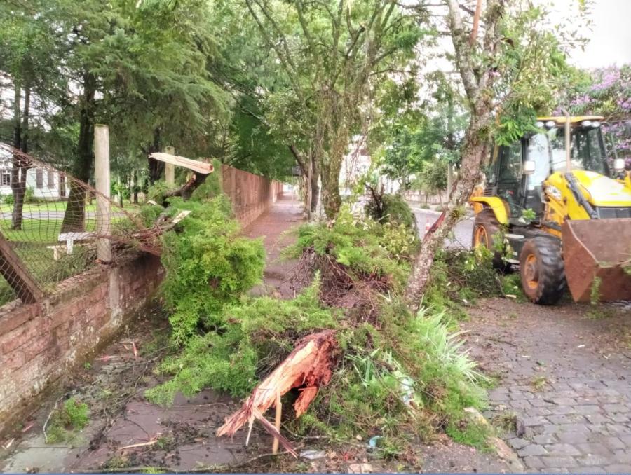 No Centro Evangélico, na Av. São Miguel, árvore danificou parte da cerca