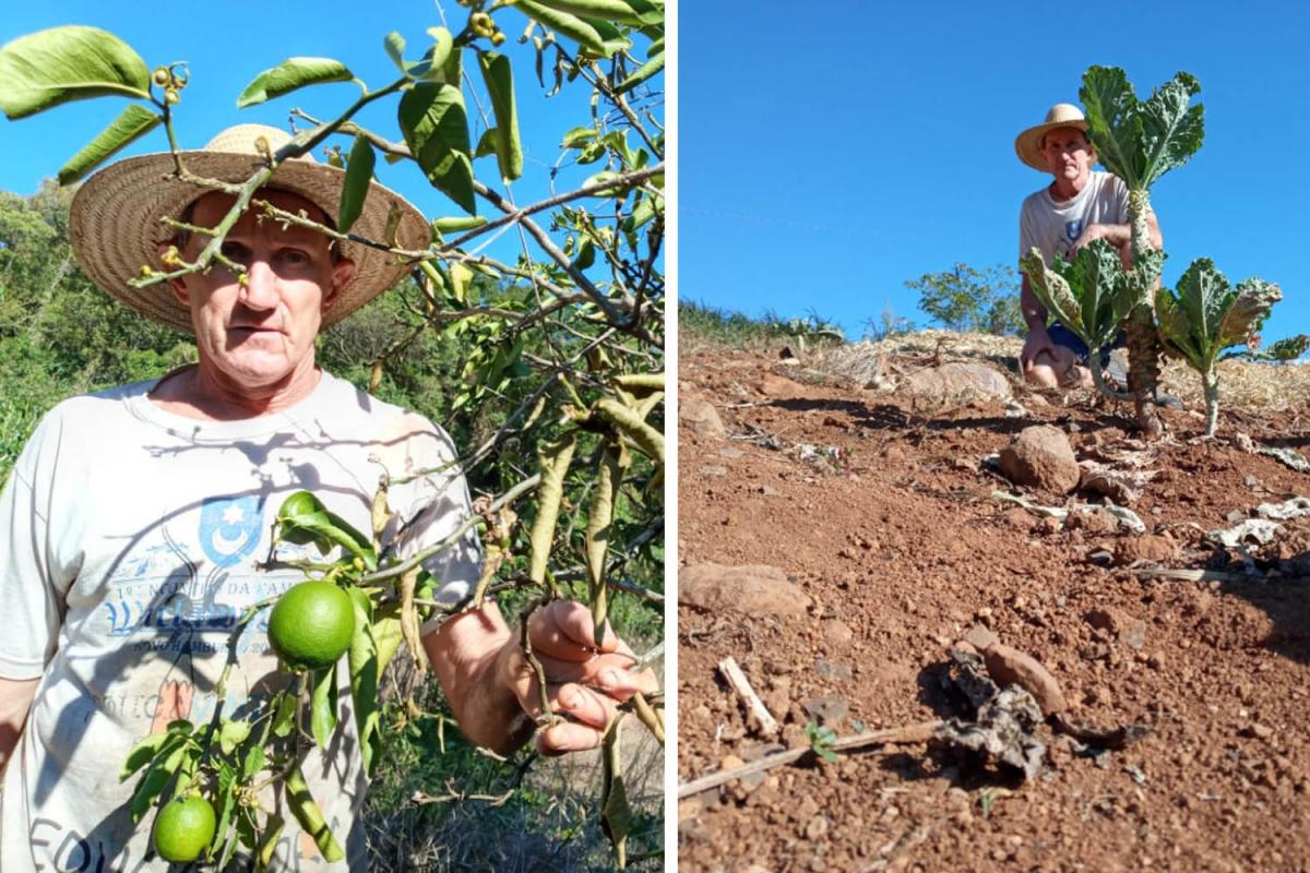 “Se não chover logo, só Deus sabe o que vai ser do futuro do agricultor”