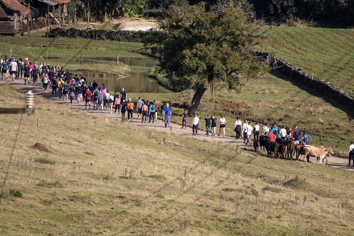 (Fotos: Divulgação)