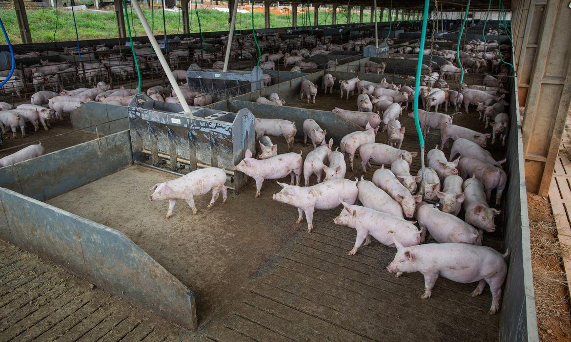 Fonte: Agência Brasil