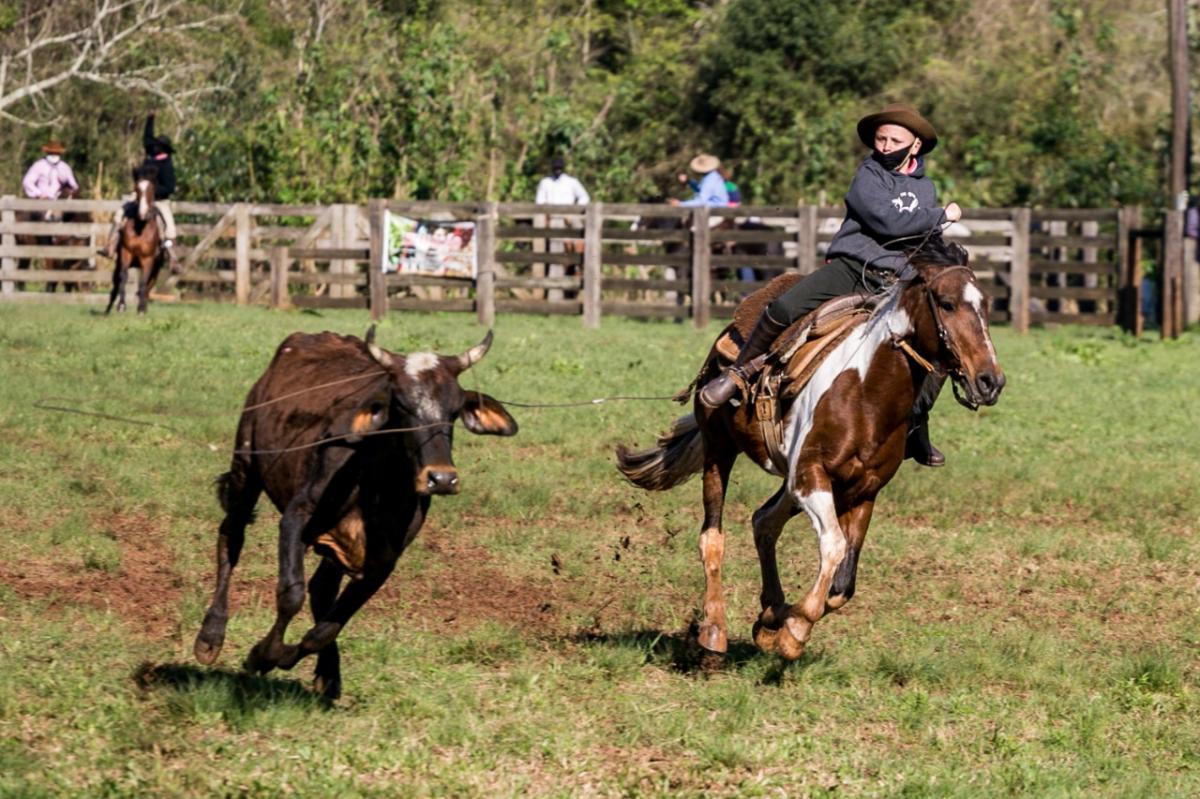 (Foto: Luis Reis Fotografia – Terra e Pampa Fotografia)