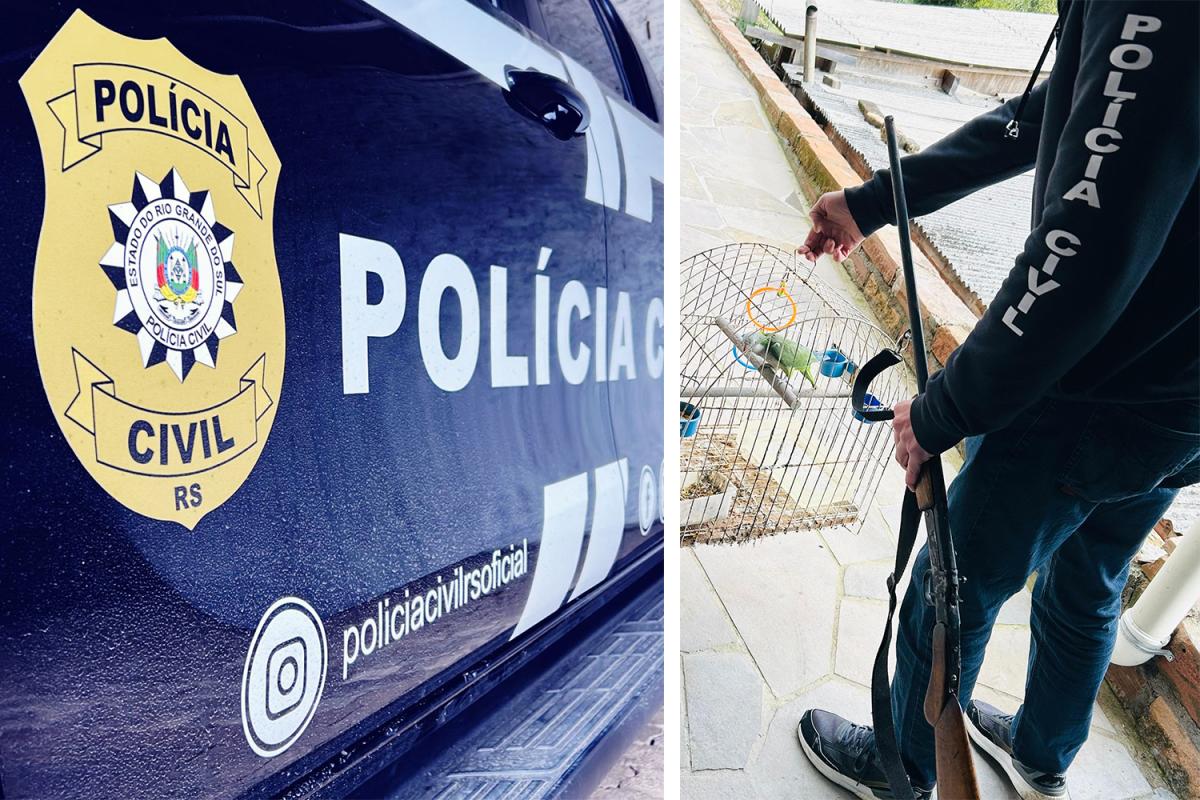 (Fotos: Polícia Civil)