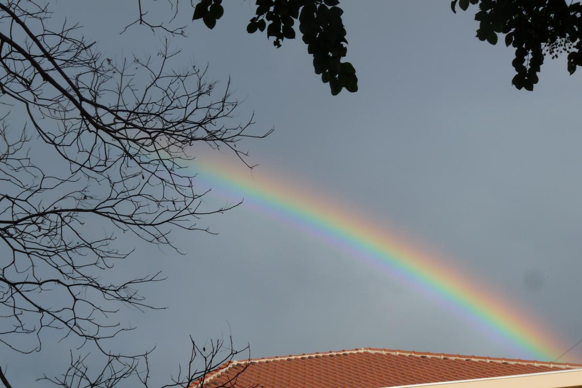 (Foto: Octacílio Freitas Dias)