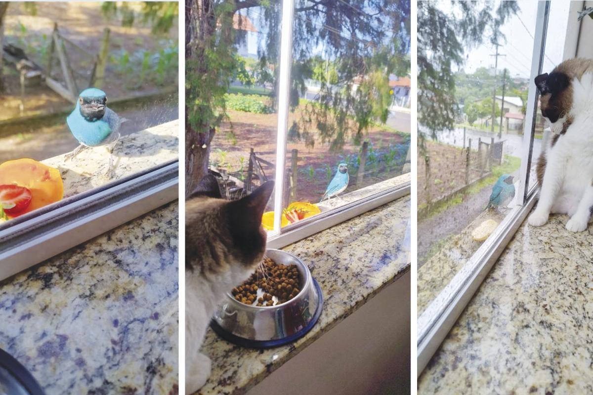 (Fotos: Arquivo pessoal)