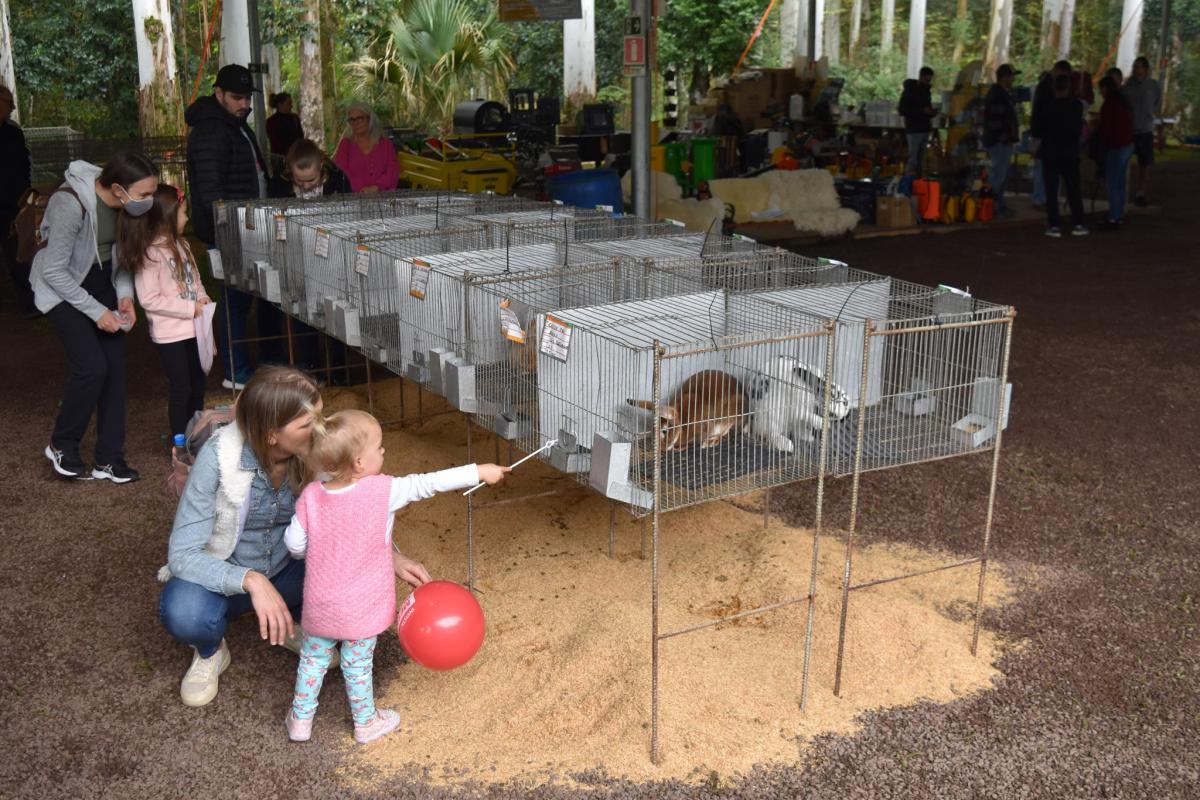 (Fotos: Divulgação / PMDI)