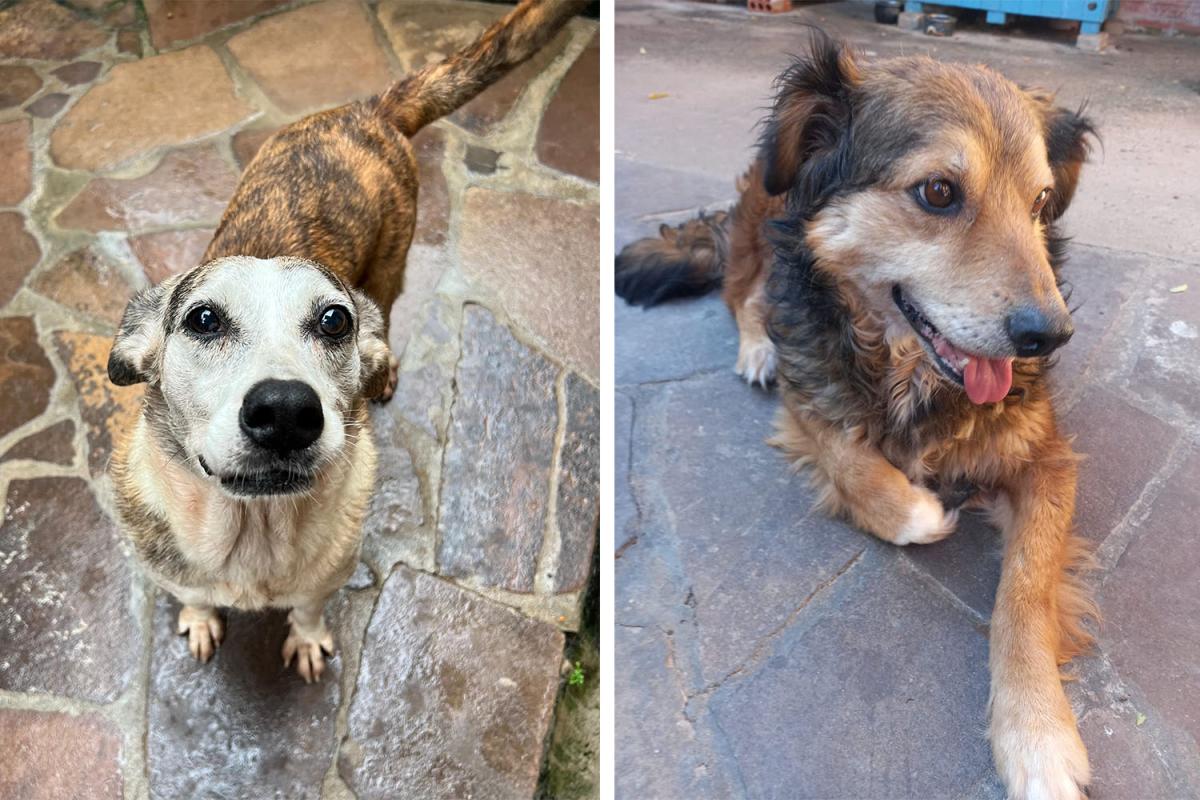 Linda, 8 anos / Navegantes, 8 anos Linda, 8 anos / Navegantes, 8 anos