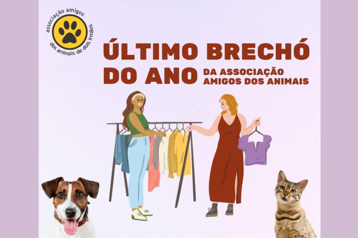 (Imagens: Divulgação)