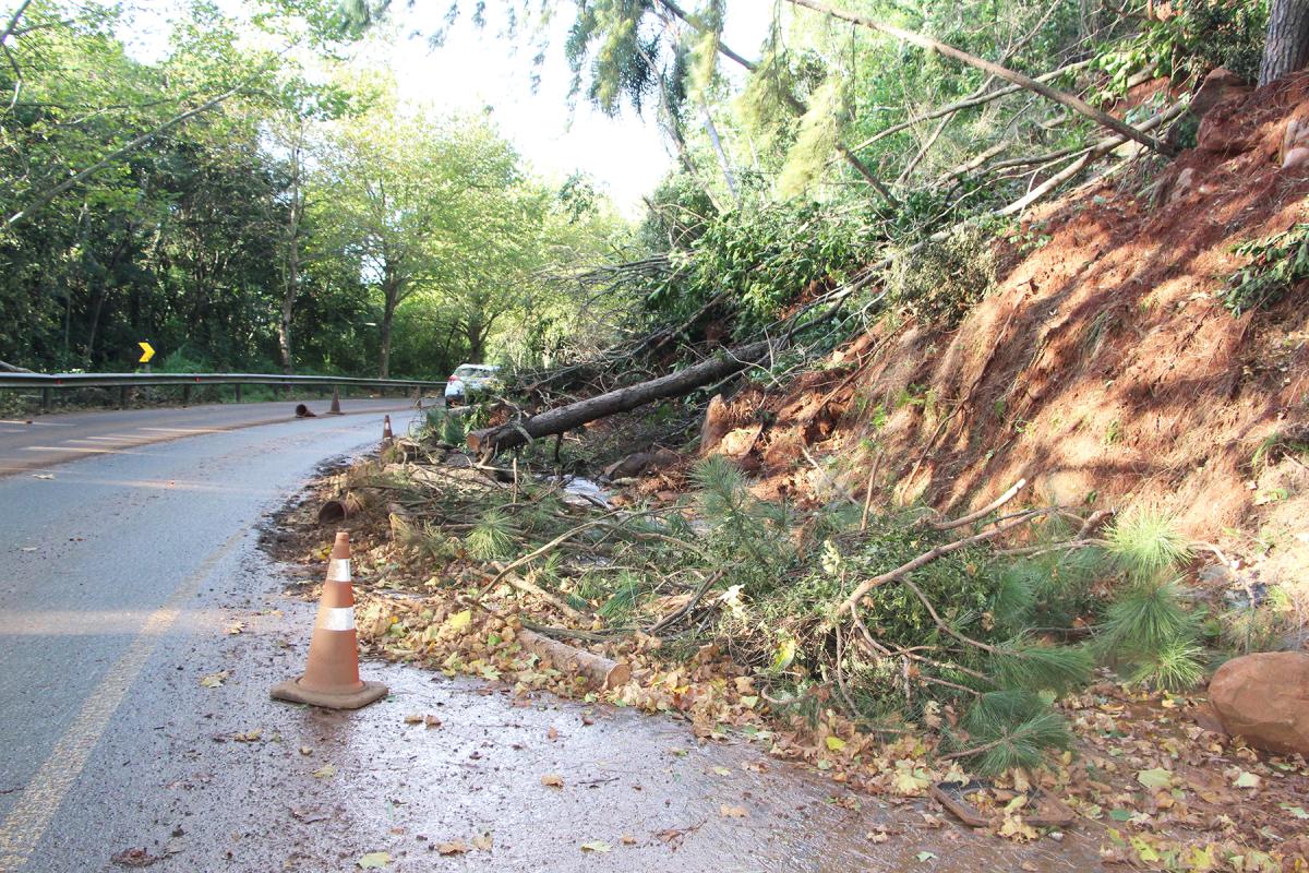 Terra e árvores bloqueiam metade da via