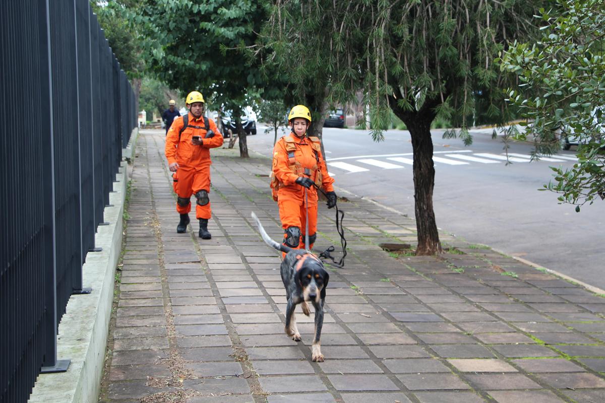 Binômio formado pela Soldado Bertazzo e pelo cão Thanos, da raça rastreador brasileiro, atuou na ocorrência nesta terça-feira