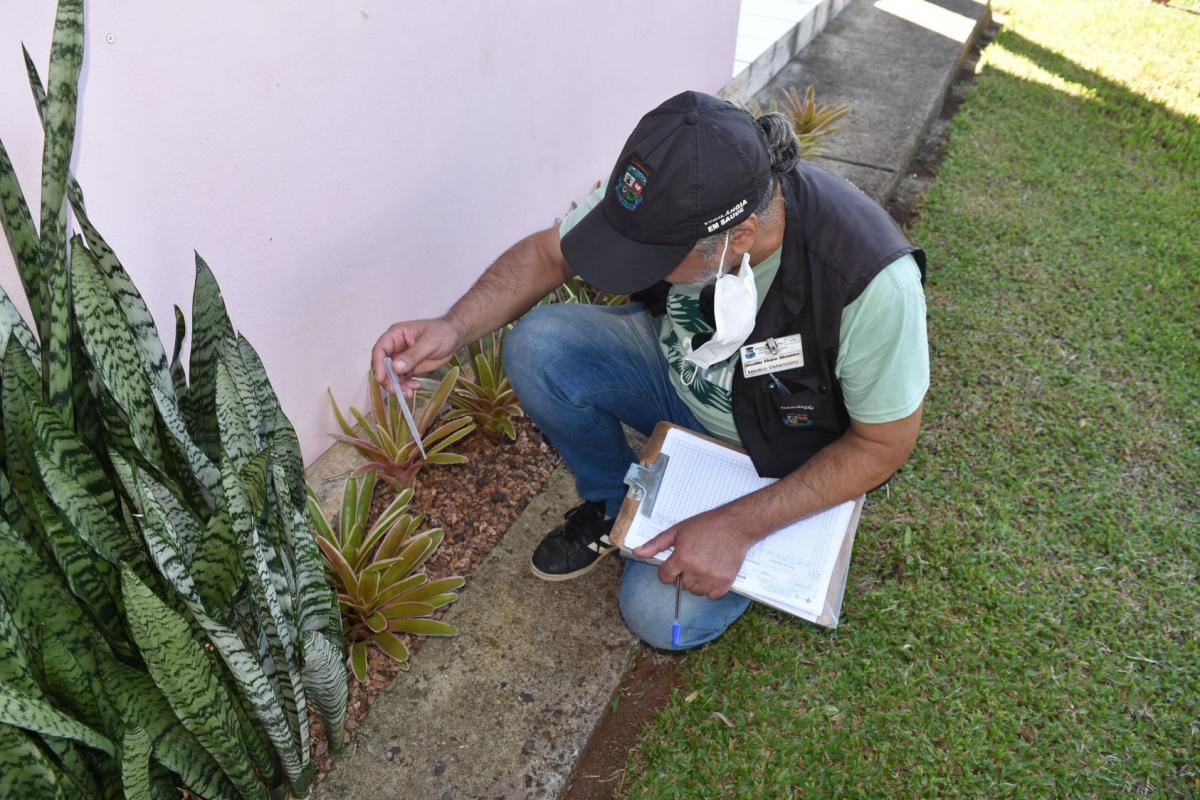 (Foto: Divulgação / PMDI)