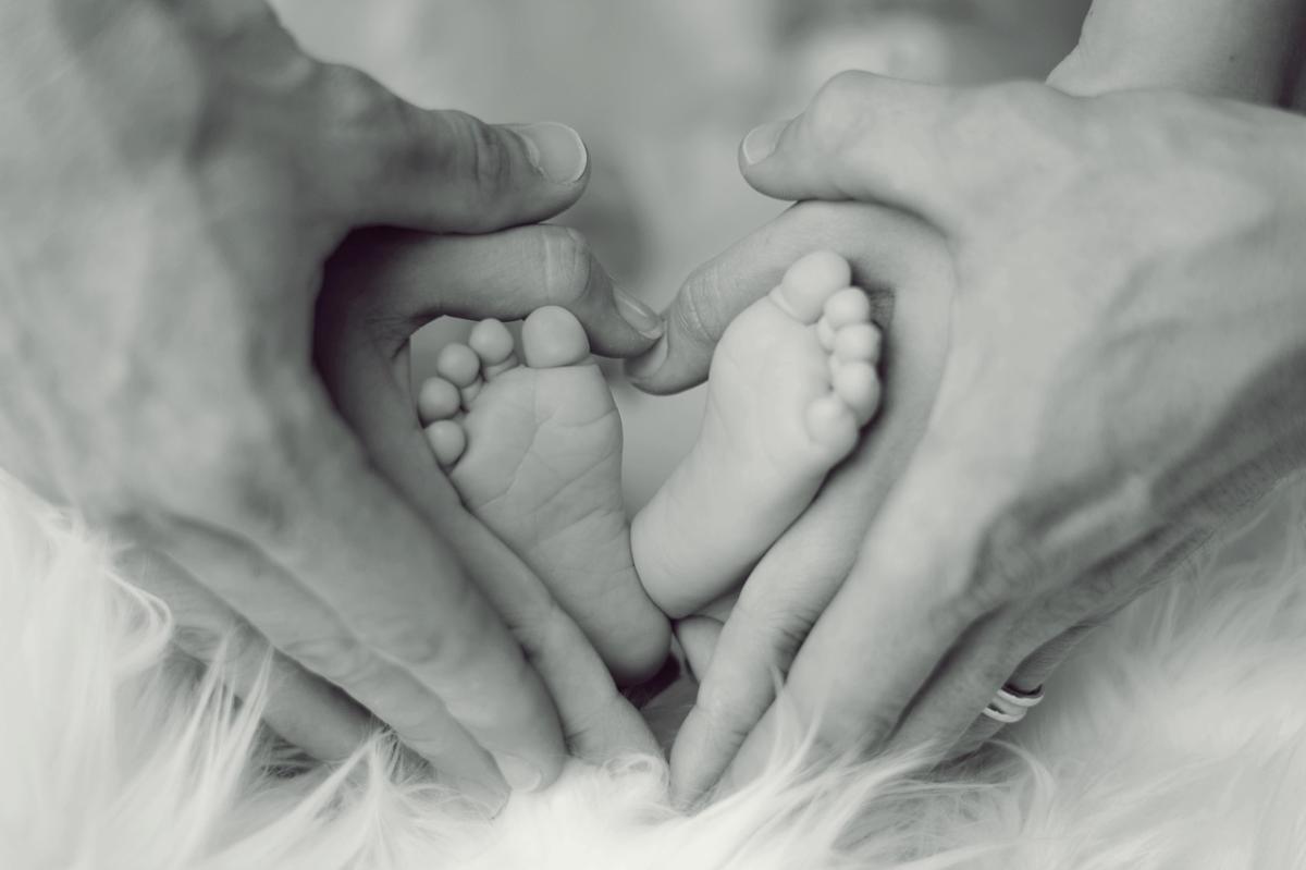 Fonte: Zero Hora / Foto: Pixabay