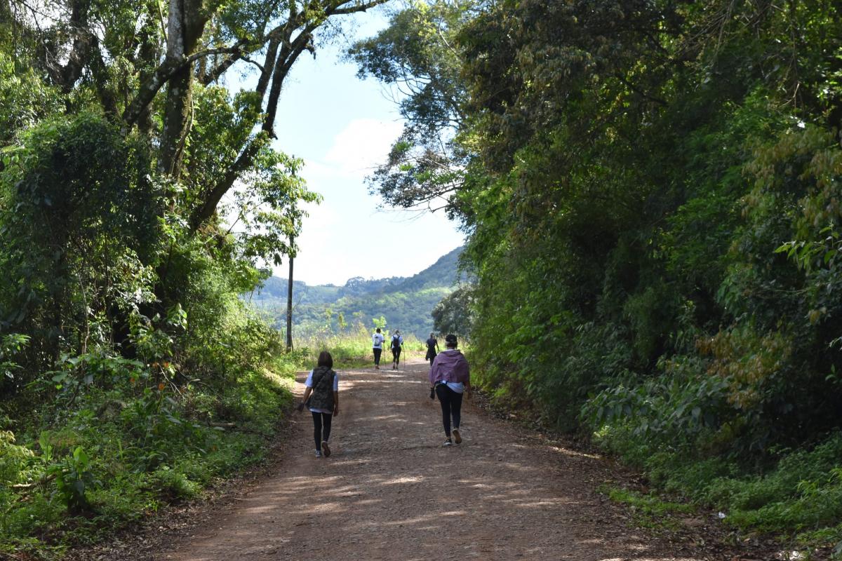 (Fotos: Divulgação / PMDI)