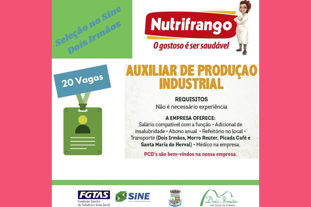 (Divulgação)