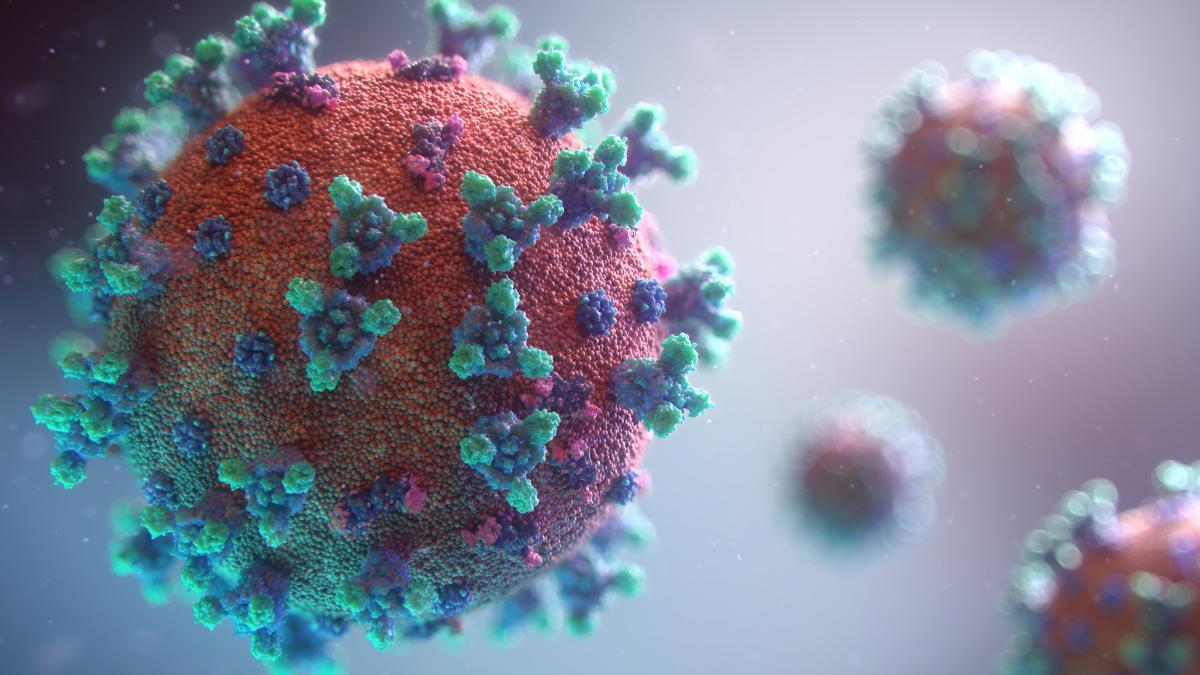 Confira a evolução da pandemia desde 2020 Confira a evolução da pandemia desde 2020