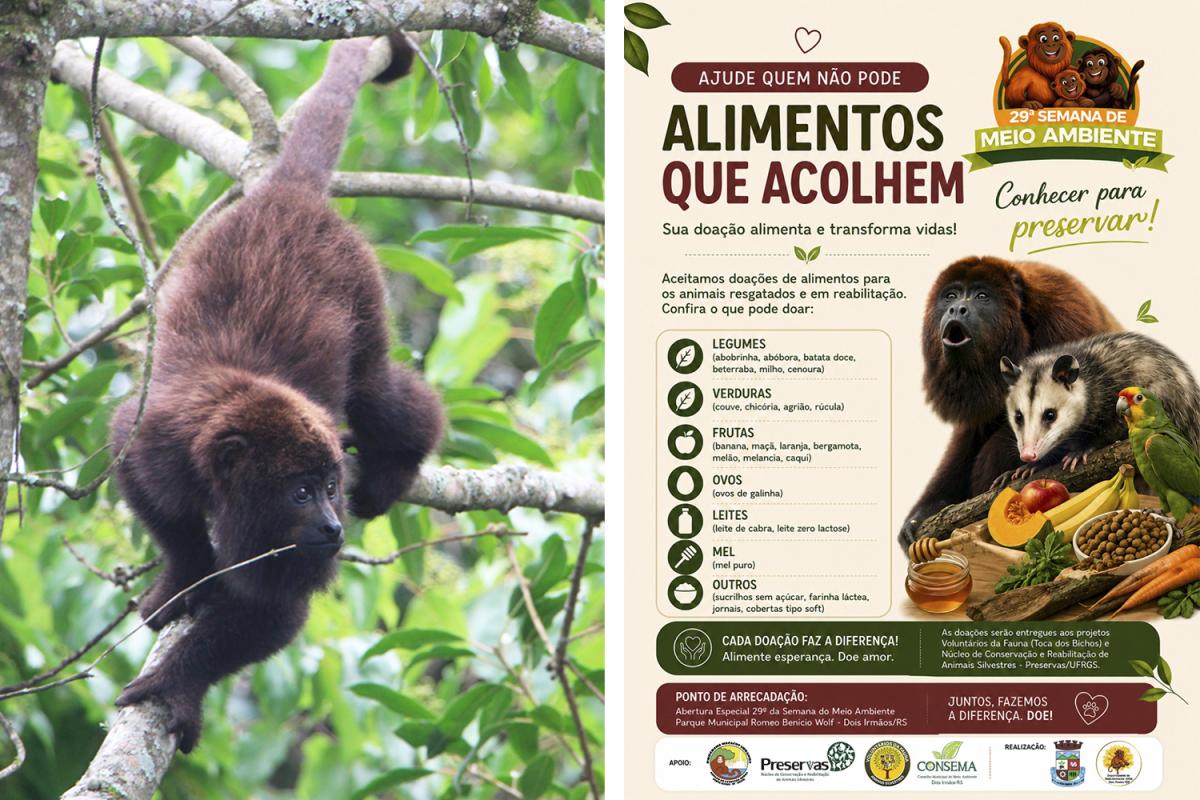 (Foto: JDI / Cartaz: Divulgação)