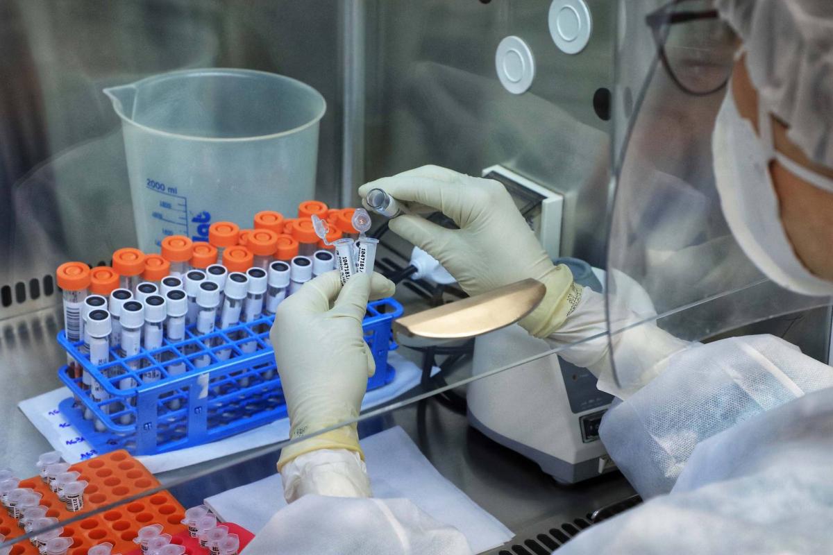 Pandemia teve seu auge em 2021