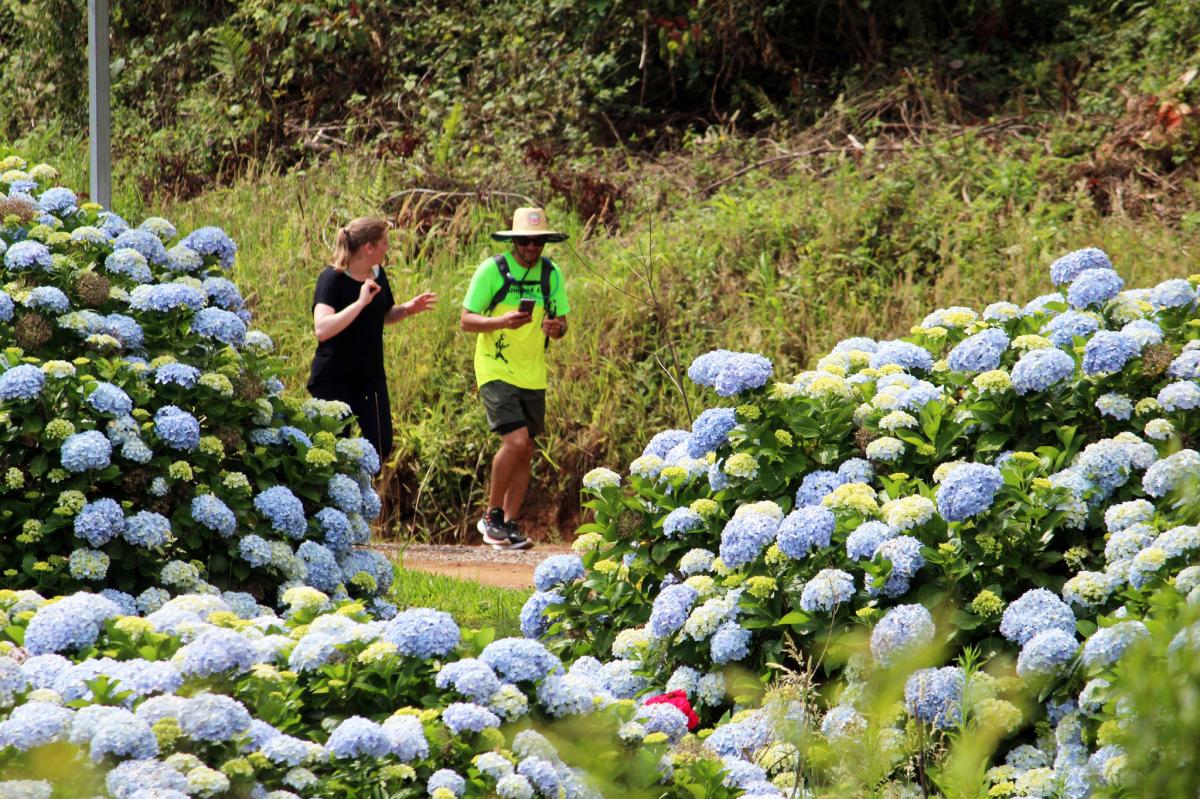 (Foto: Rota Romântica / Divulgação) (Foto: Rota Romântica / Divulgação)