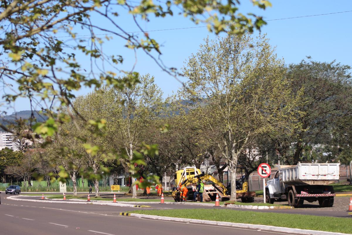 (Foto: Octacílio Freitas Dias)