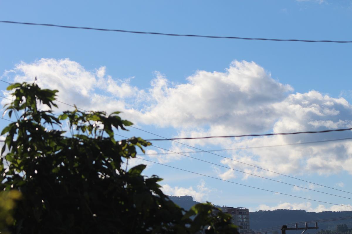Fonte: GZH / Foto: Octacílio Freitas Dias