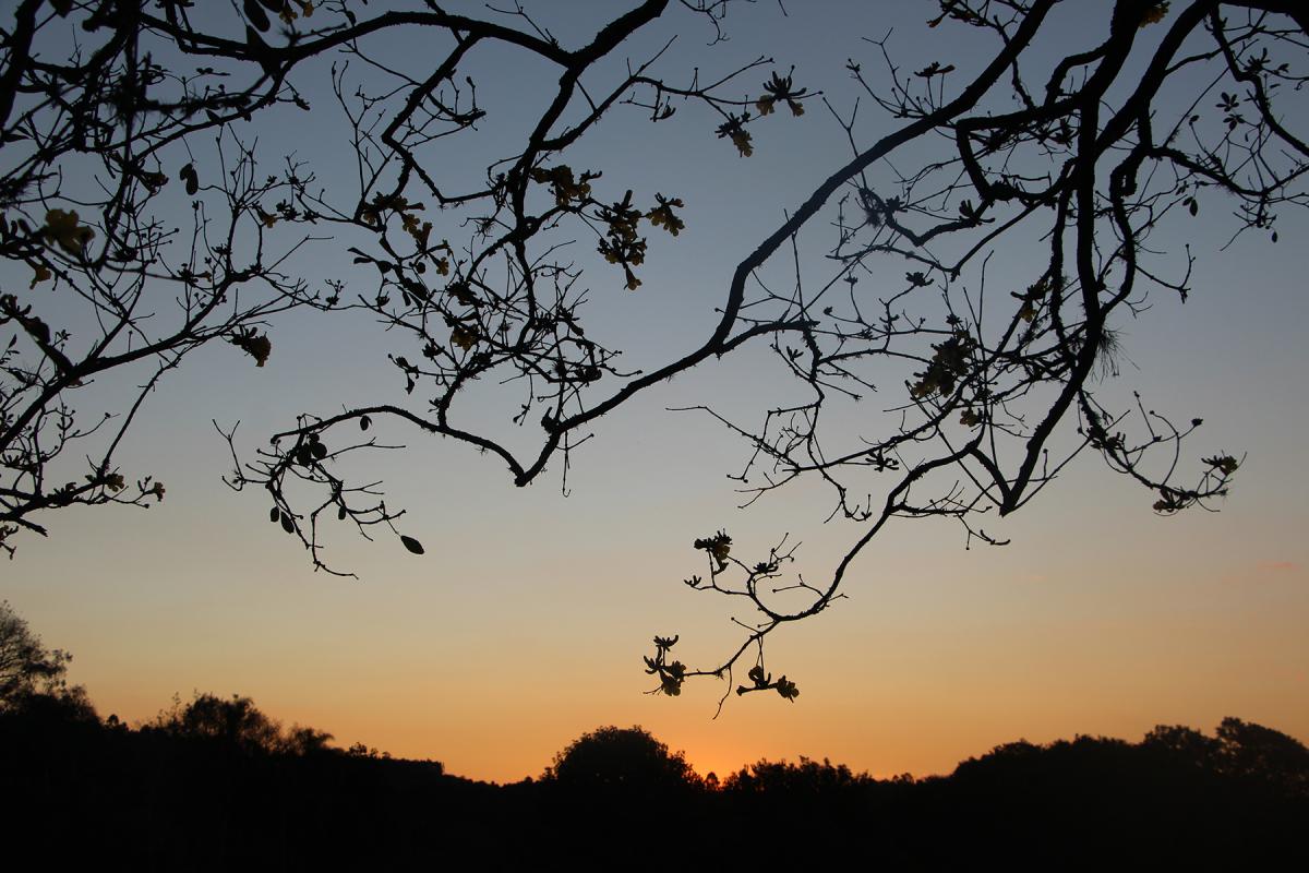 Máxima não passa de 13°C no sábado e chega a 20°C no domingo
