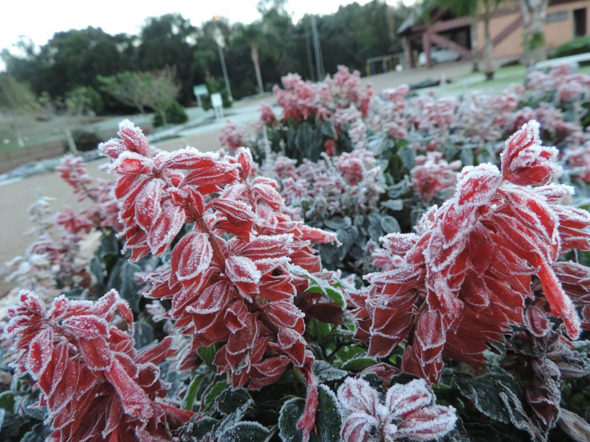 Inverno chegou de vez, mudando a paisagem