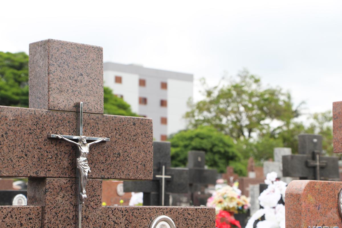 Confira a programação