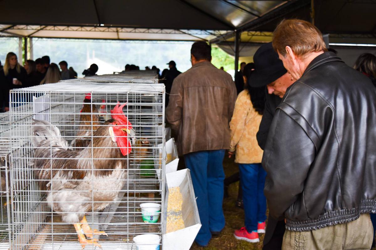 Feira Agropecuária é uma das atrações do evento (Foto: Divulgação)