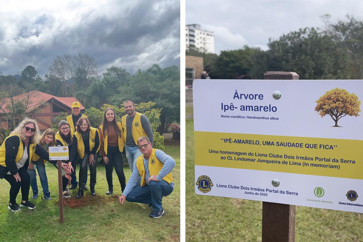 (Fotos: Divulgação / Lions)