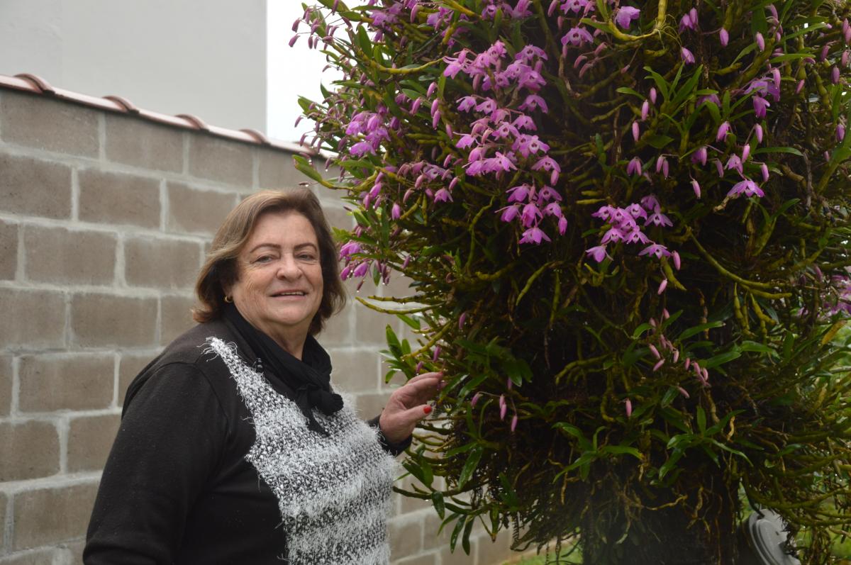 Maria Helena gosta de manter seu jardim bem cuidado e florido Maria Helena gosta de manter seu jardim bem cuidado e florido