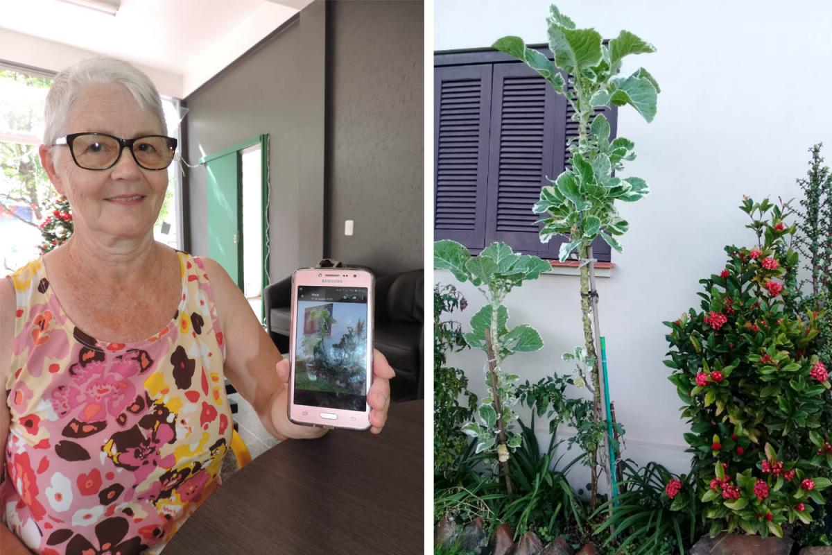 Tamanho da planta impressionou dona Selita