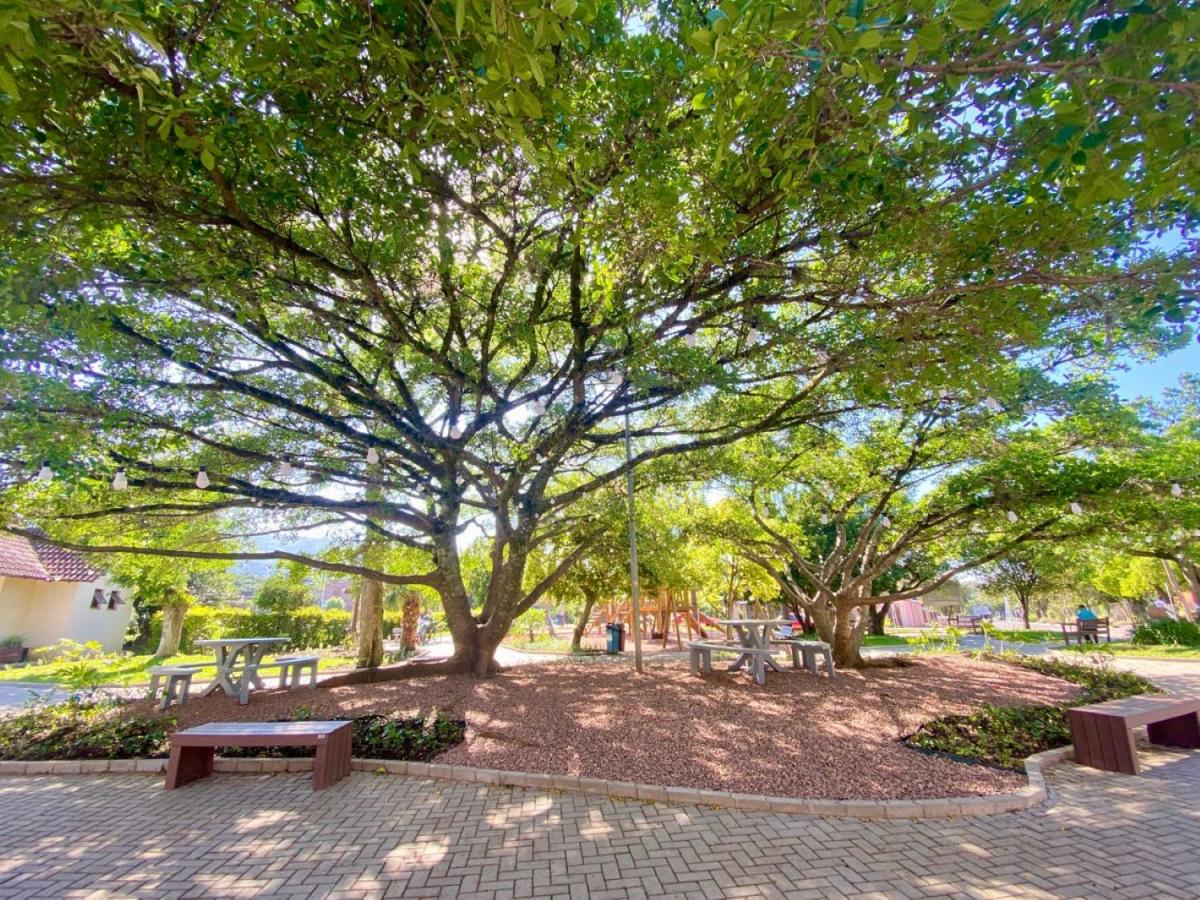 Evento será na Praça Municipal (Foto: Divulgação / PMMR)