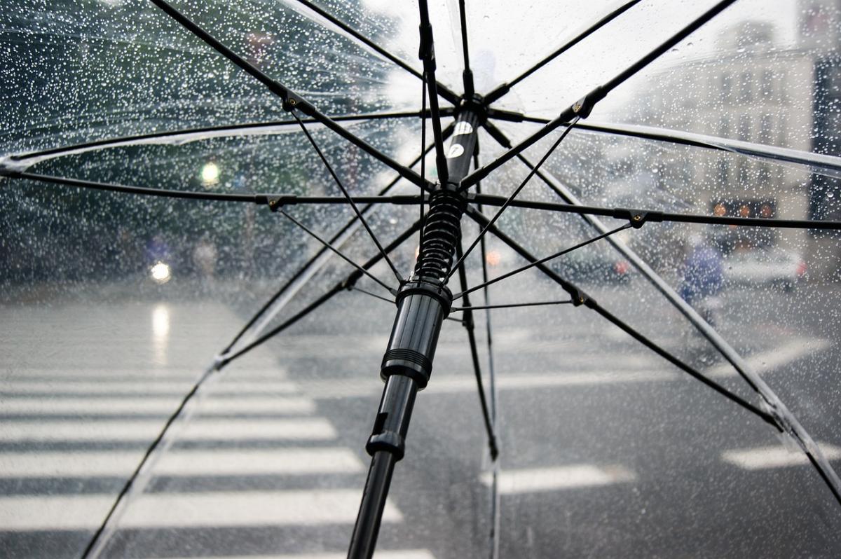 Fonte: GZH / Foto: Pixabay Fonte: GZH / Foto: Pixabay