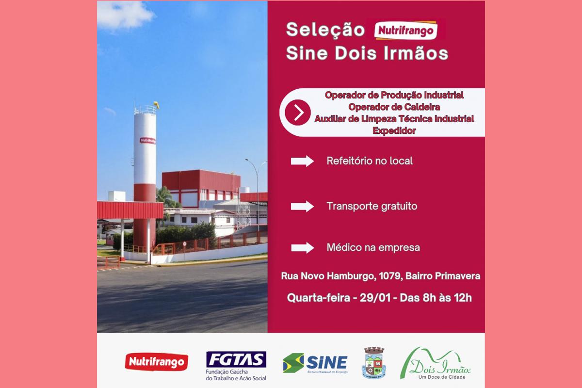 (Divulgação)