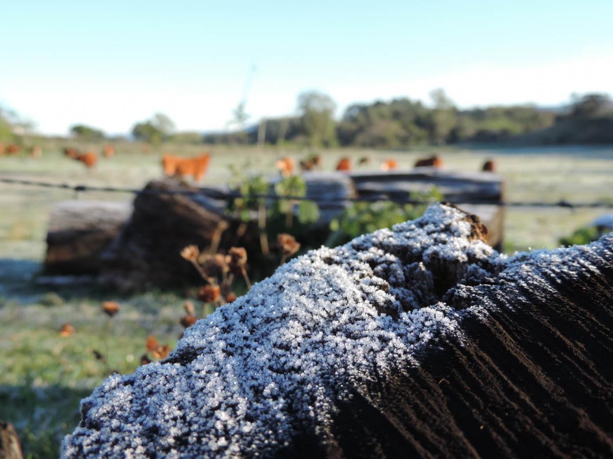 Não há previsão de muitos dias de frio intenso Não há previsão de muitos dias de frio intenso