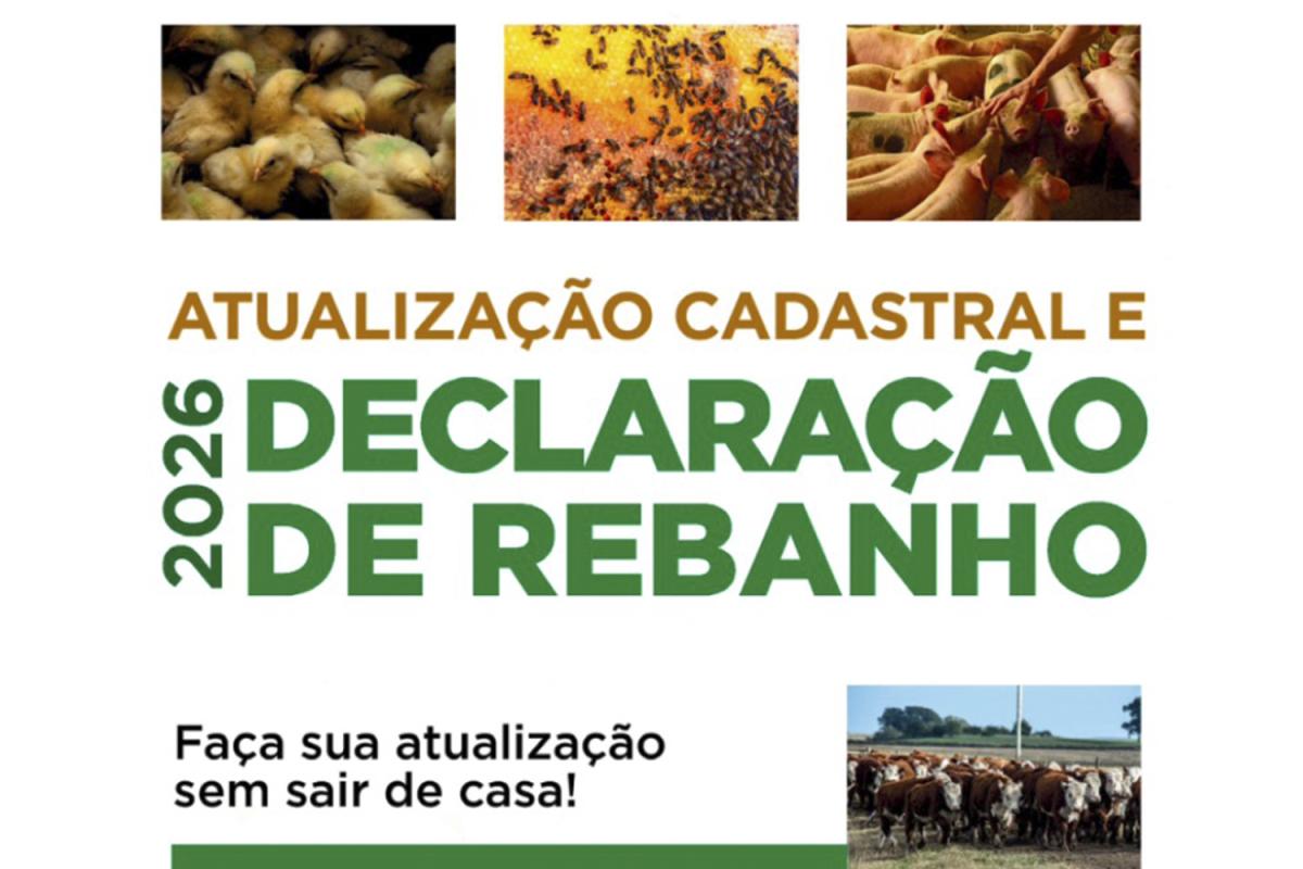 (Imagem: Divulgação)