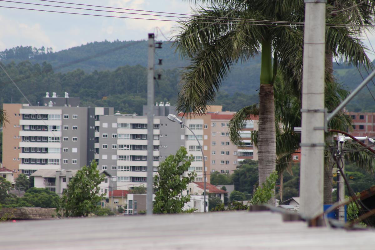 (Foto: Octacílio Freitas Dias)