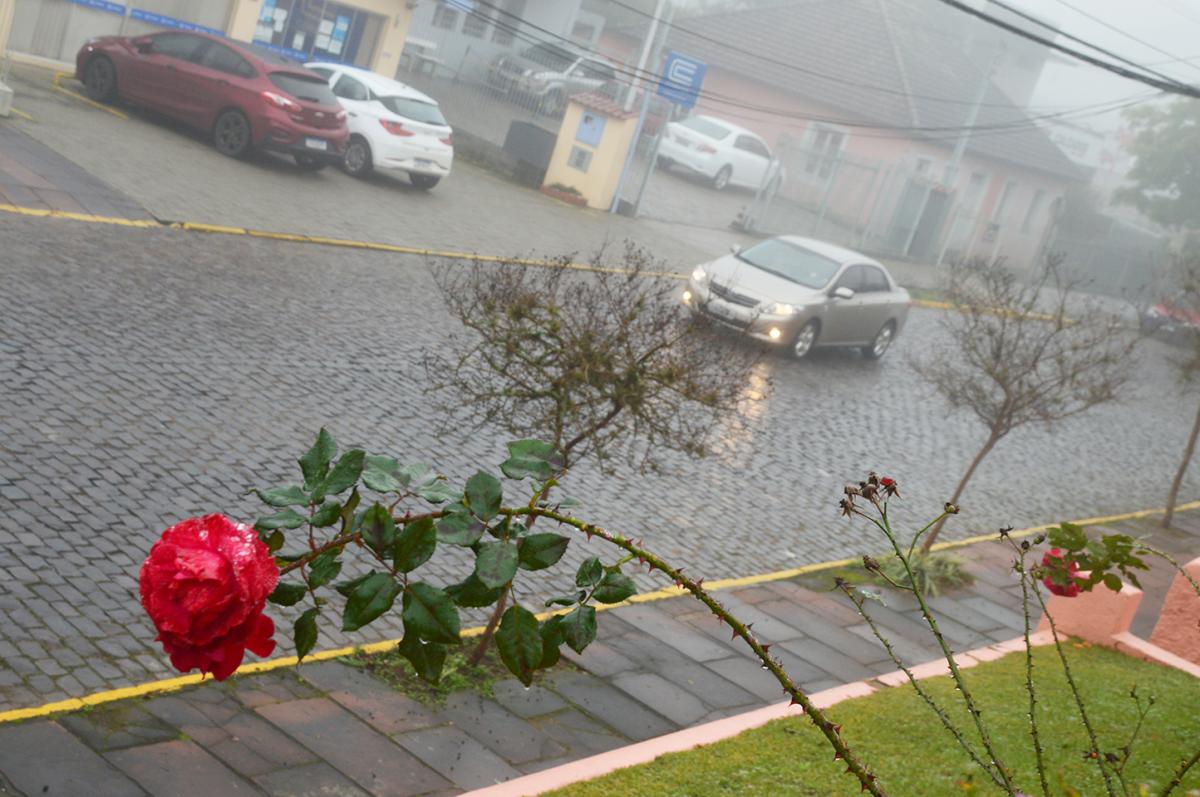 (Foto: Arquivo JDI)