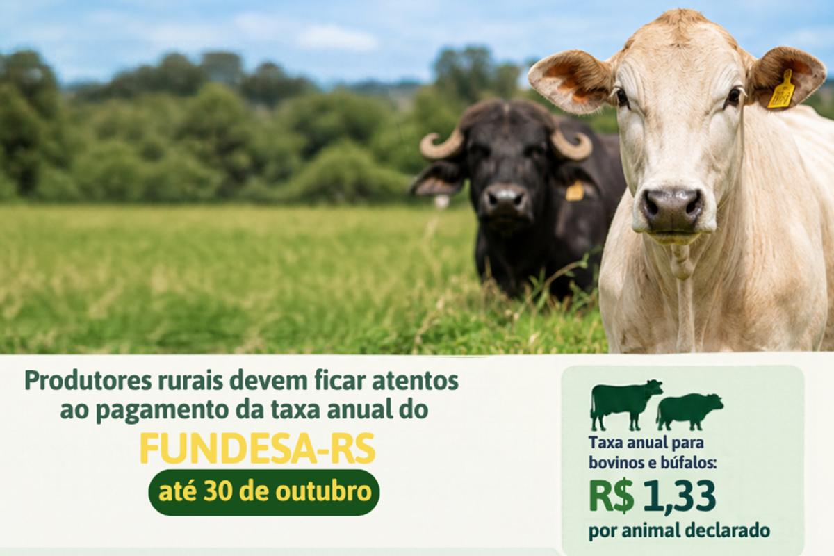 (Imagem: Divulgação)