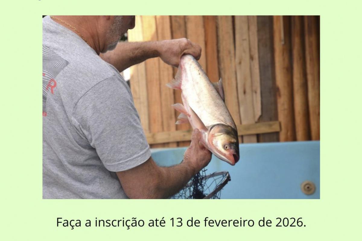 (Imagem: Divulgação)