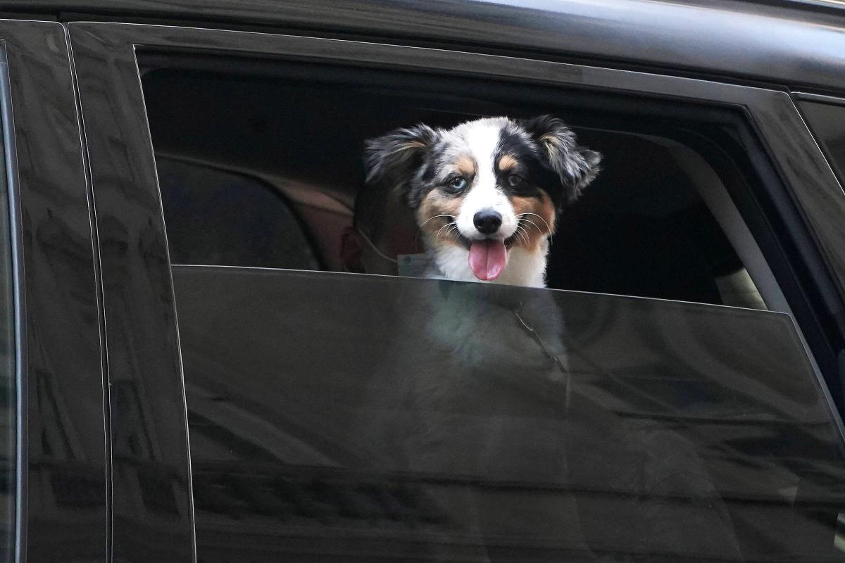 Fonte: Autoesporte / Foto: Reuters