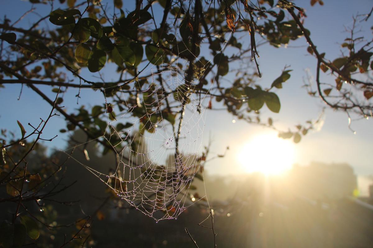 Amanhecer desta terça teve sol e neblina em Dois Irmãos