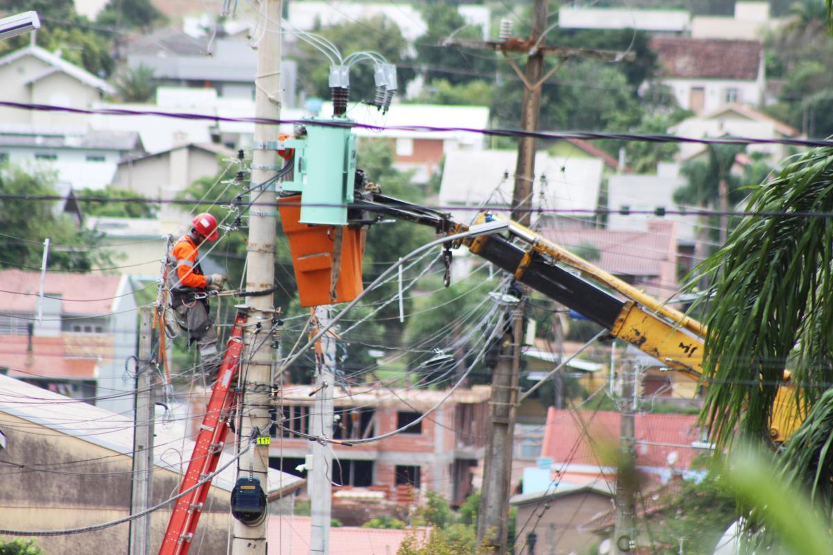(Foto: Octacílio Freitas Dias) (Foto: Octacílio Freitas Dias)