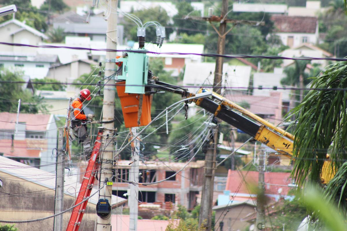 (Foto: Octacílio Freitas Dias)                                       