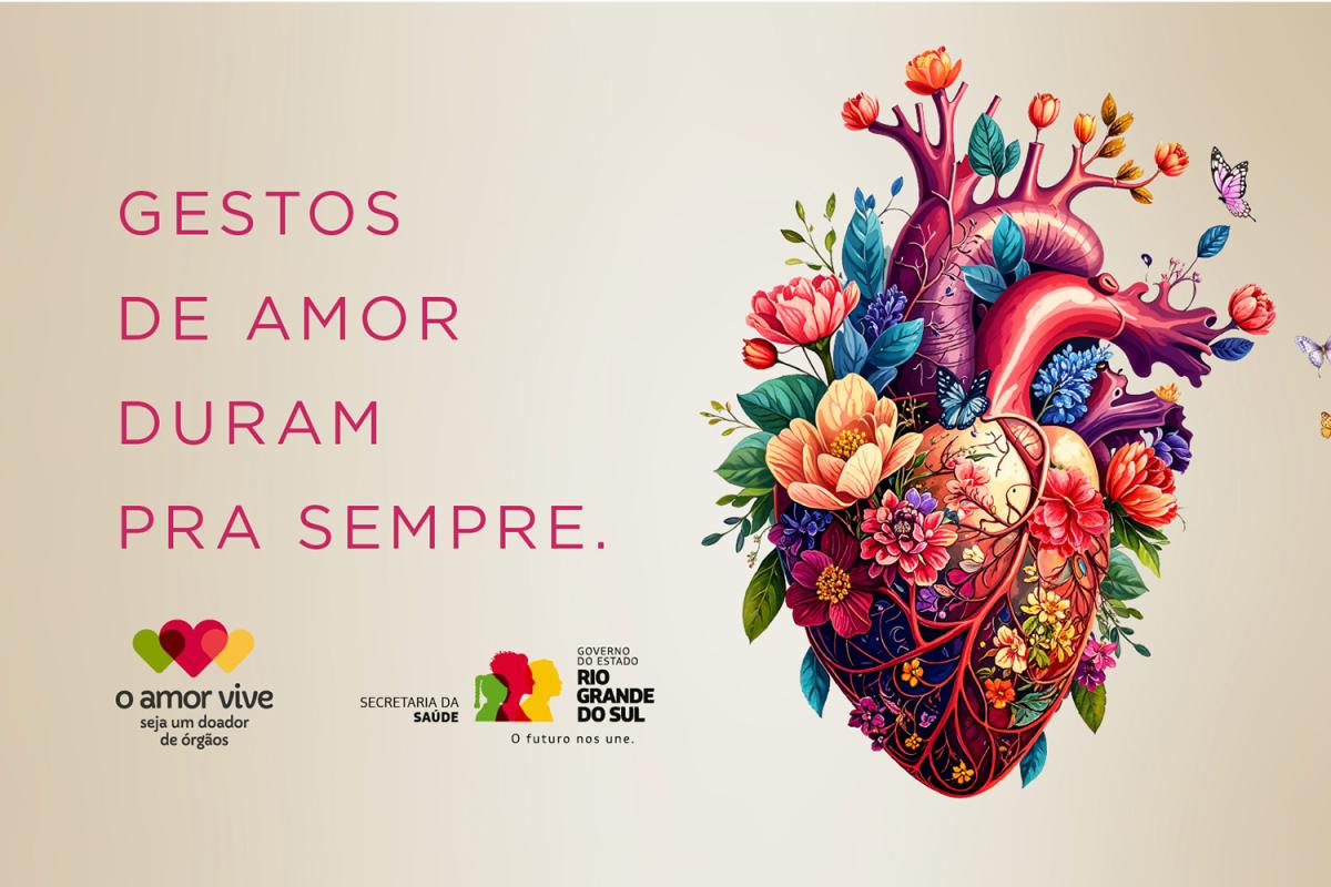 Fonte: SES