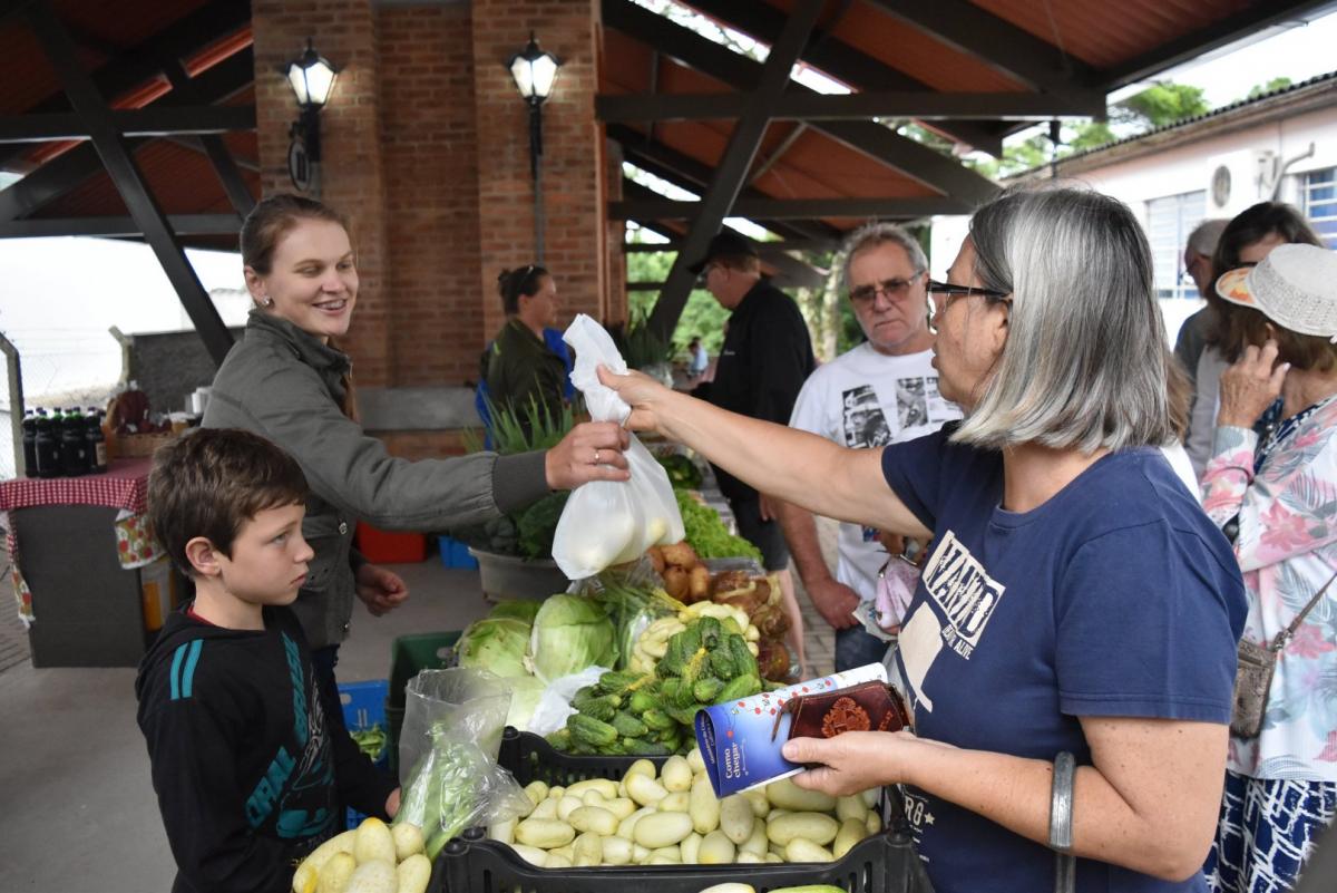 (Foto: Divulgação / PMDI)