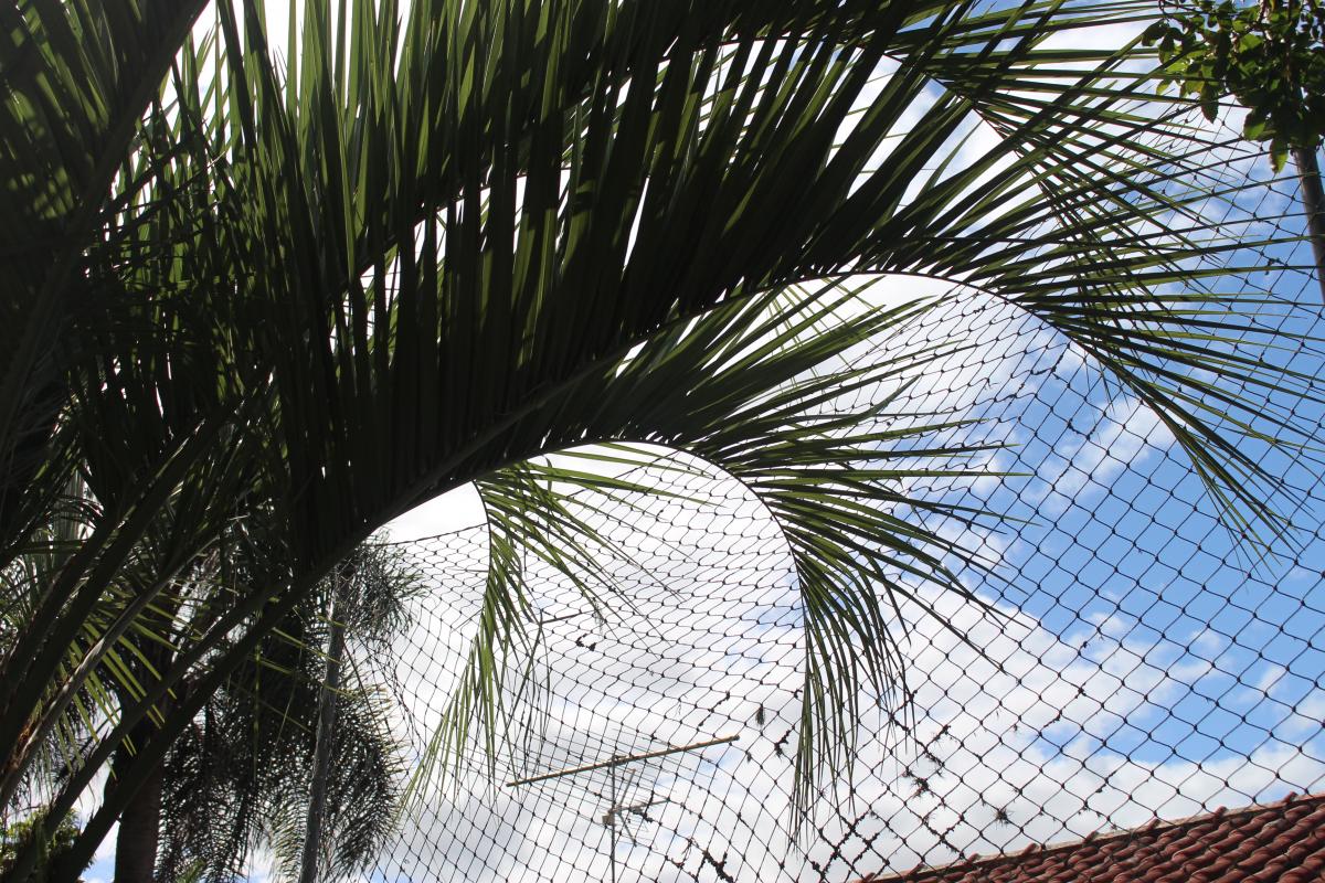 Fonte: GZH / Foto: Octacílio Freitas Dias