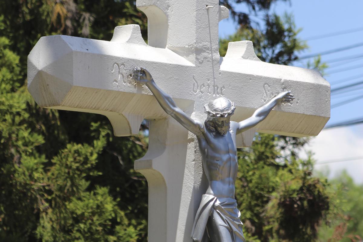 (Foto: Octacílio Freitas Dias)