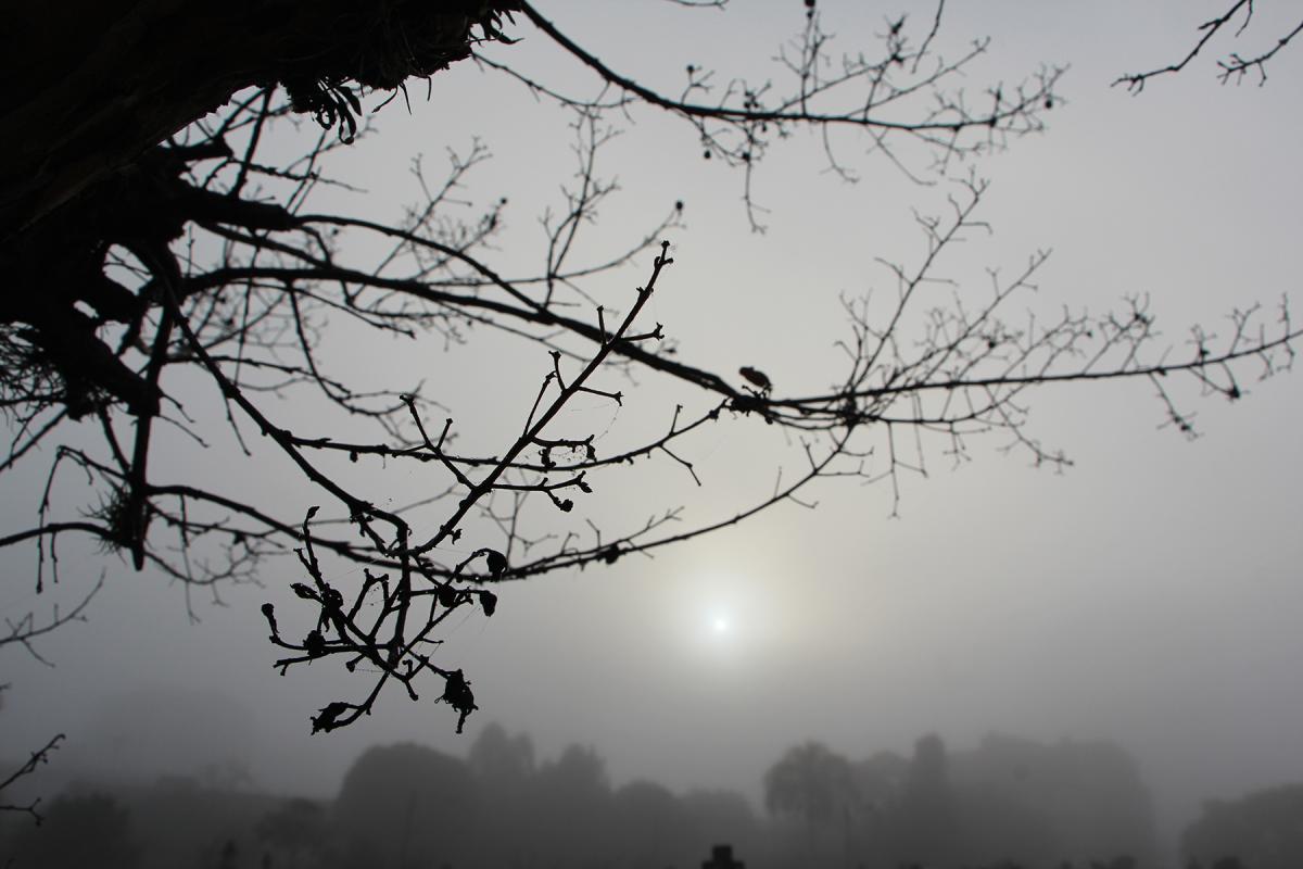Fonte: GZH / Foto: JDI
